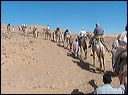 17-camel_ride
