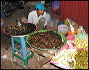 03-cambodia-insects