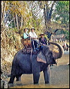 45-elephant-ride-1