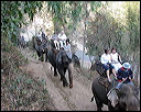 47-elephant-ride-3